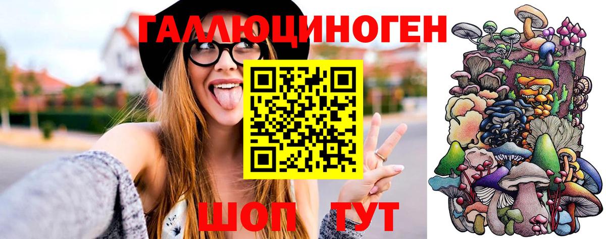Галлюциногенные грибы MAGIC MUSHROOMS  Вход с VPN  Железногорск 