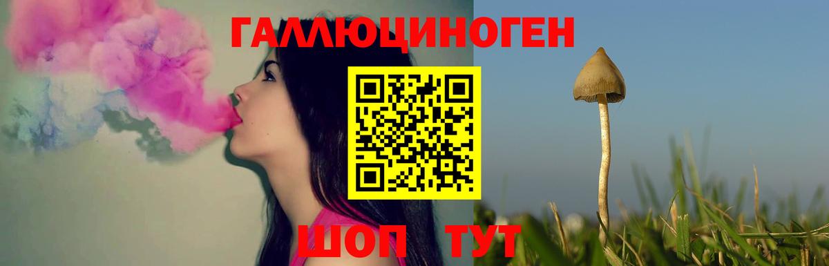 Галлюциногенные грибы GOLDEN TEACHER Железногорск