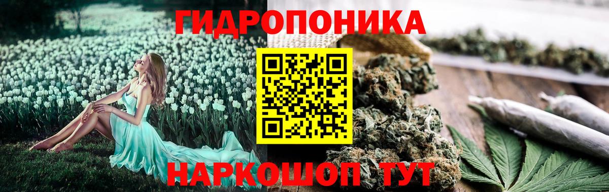 Бошки Шишки сатива  Вход с VPN  МАРИХУАНА гибрид  Канабис план  Канабис ГИДРОПОН  Железногорск 